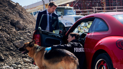 Imagen de Hudson y Rex (T2): Ep.4 Los Bosques Tienen Ojos - 1