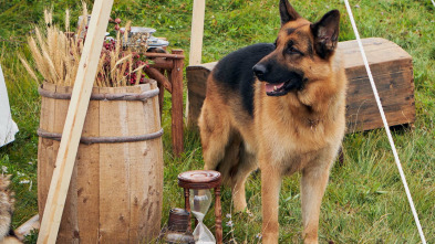 Imagen de Hudson y Rex (T2): Ep.5 Juego De Huesos - 5