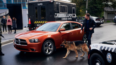 Imagen de Hudson y Rex (T2): Ep.6 Bala En El Agua - 3