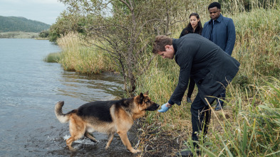 Imagen de Hudson y Rex (T2): Ep.6 Bala En El Agua - 4