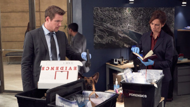 Imagen de Hudson y Rex (T2): Ep.7 French Connection - 5