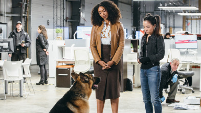 Imagen de Hudson & Rex (T2): Ep.8 Rex Machina - 4