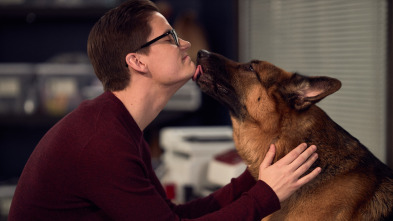 Imagen de Hudson y Rex (T2): Ep.11 Vision En El Tunel - 4