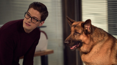 Imagen de Hudson y Rex (T2): Ep.11 Vision En El Tunel - 5