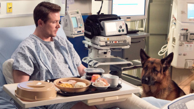 Imagen de Hudson y Rex (T2): Ep.13 Llamarada Canina - 1