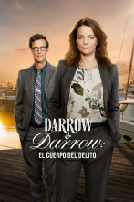 Imagen de Darrow & Darrow: El cuerpo del delito - 1