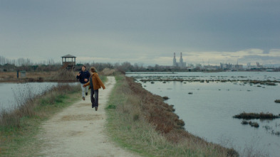 Imagen de Baja de paternidad - 6