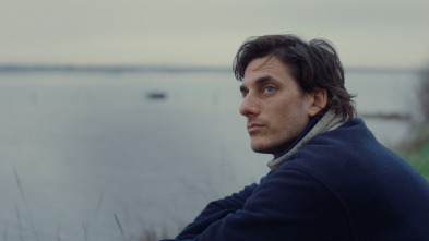 Imagen de Baja de paternidad - 8