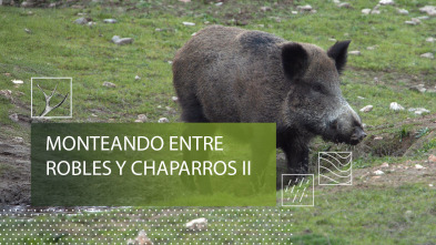 Imagen de Monteando entre robles y chaparros 2º parte - 2