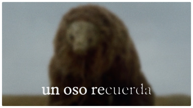 Imagen de Un oso recuerda - 2