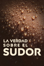 Imagen de La verdad sobre el sudor - 1