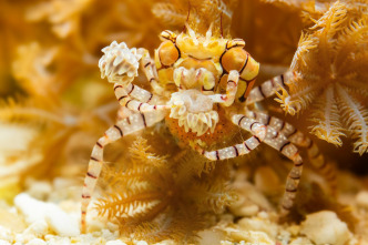 Imagen de Cómo se hizo Parenthood: Ep.2 - 1