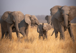 Imagen de Cómo se hizo Parenthood: Ep.2 - 2