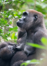 Imagen de Cómo se hizo Parenthood: Ep.3 - 2