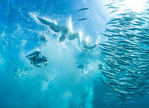 Imagen de Cómo se hizo Parenthood: Ep.4 - 1