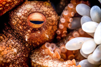 Imagen de Cómo se hizo Parenthood: Ep.5 - 2