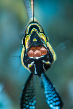 Imagen de Cómo se hizo Parenthood: Ep.5 - 3