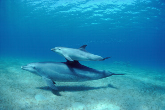 Imagen de Cómo se hizo Parenthood: Ep.5 - 4