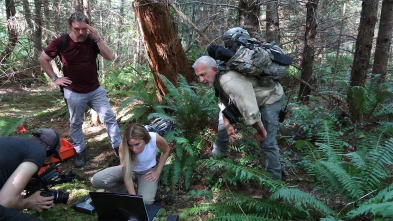 Imagen de Expedition Bigfoot: Anomalía paranormal - 2