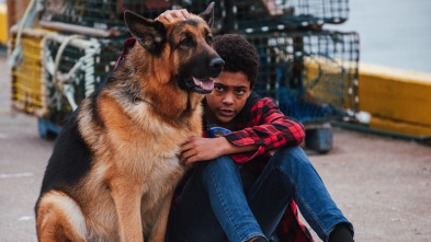 Imagen de Hudson & Rex (T3): Ep.1 El origen - 3