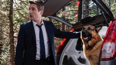 Imagen de Hudson & Rex (T3): Ep.1 El origen - 4