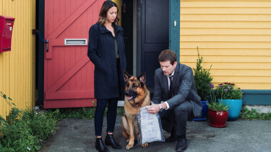 Imagen de Hudson y Rex (T3): Ep.2 Caza al hombre - 1