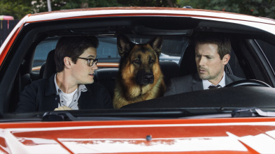 Imagen de Hudson y Rex (T3): Ep.2 Caza al hombre - 5