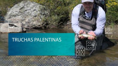 Imagen de Truchas palentinas - 2