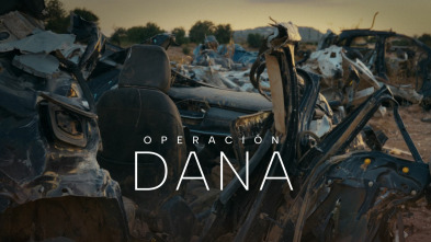 Imagen de Operación DANA - 2