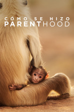 Imagen de Cómo se hizo Parenthood  - 1
