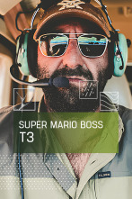 Imagen de Súper Mario Boss (T3) - 1