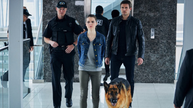 Imagen de Hudson y Rex (T3): Ep.3 Hacia lo salvaje - 1