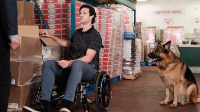 Imagen de Hudson y Rex (T3): Ep.3 Hacia lo salvaje - 2