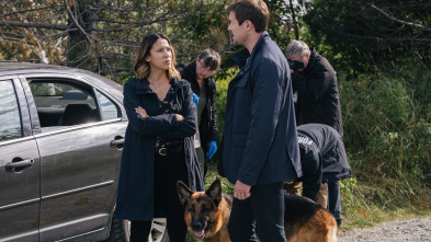 Imagen de Hudson y Rex (T3): Ep.3 Hacia lo salvaje - 3