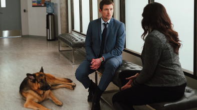 Imagen de Hudson y Rex (T3): Ep.4 Bajo presión - 4