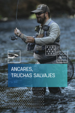 Imagen de Ancares, truchas salvajes - 1