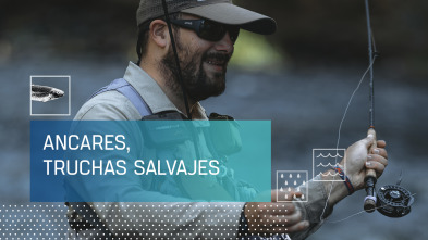 Imagen de Ancares, truchas salvajes - 2