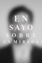 Imagen de Ensayo sobre la mirada - 1