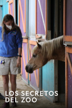 Imagen de Los secretos del zoo  - 1