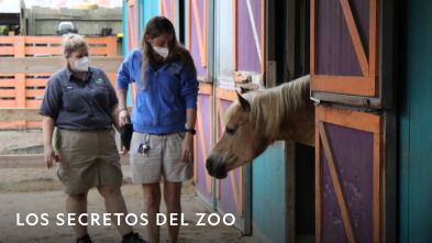 Imagen de Los secretos del zoo  - 2