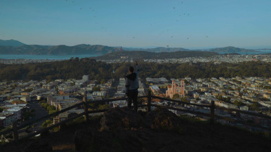 Imagen de Vista virtual - 6