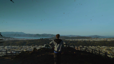 Imagen de Vista virtual - 15