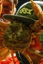 Imagen de Pesca radical (T21): Cebo para la ira - 1