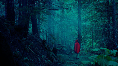 Imagen de Kryptic - 4