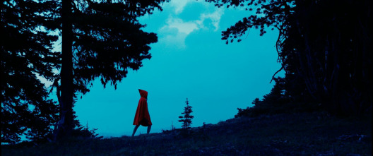 Imagen de Kryptic - 5