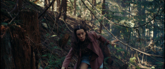 Imagen de Kryptic - 8