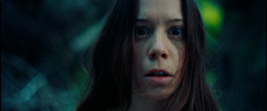 Imagen de Kryptic - 10