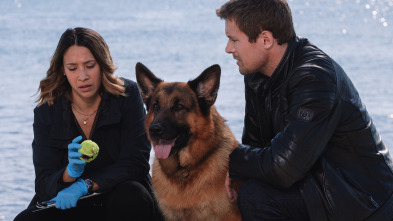 Imagen de Hudson y Rex (T3): Ep.7 Cuestión de camada - 1