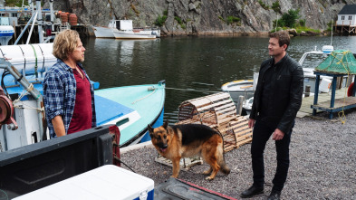 Imagen de Hudson y Rex (T3): Ep.7 Cuestión de camada - 4