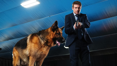 Imagen de Hudson y Rex (T3): Ep.9 Asuntos enterrados - 3